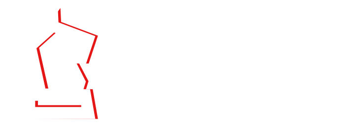 CyberKnight logo